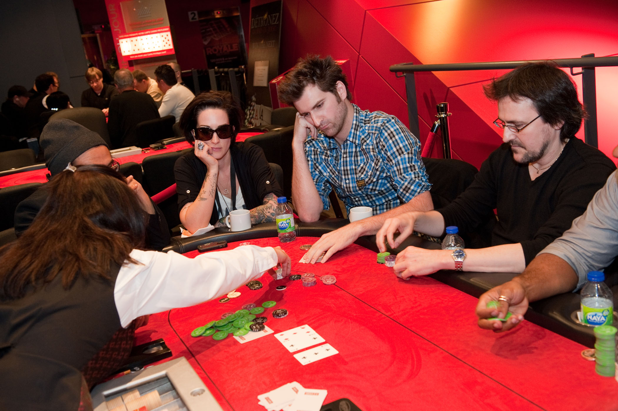 msc_7910.jpg msc_7910.jpg